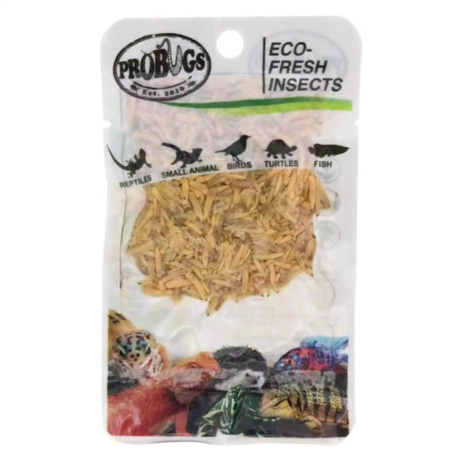 Buy ProBugs Eco Fresh Riceworms 15g (Q-FBG015) Online at £2.37 from Reptile Centre