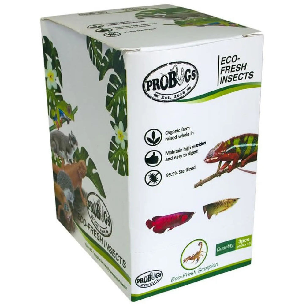 Buy ProBugs Eco Fresh Scorpions 3pcs (FBG040) Online at £55.99 from Reptile Centre