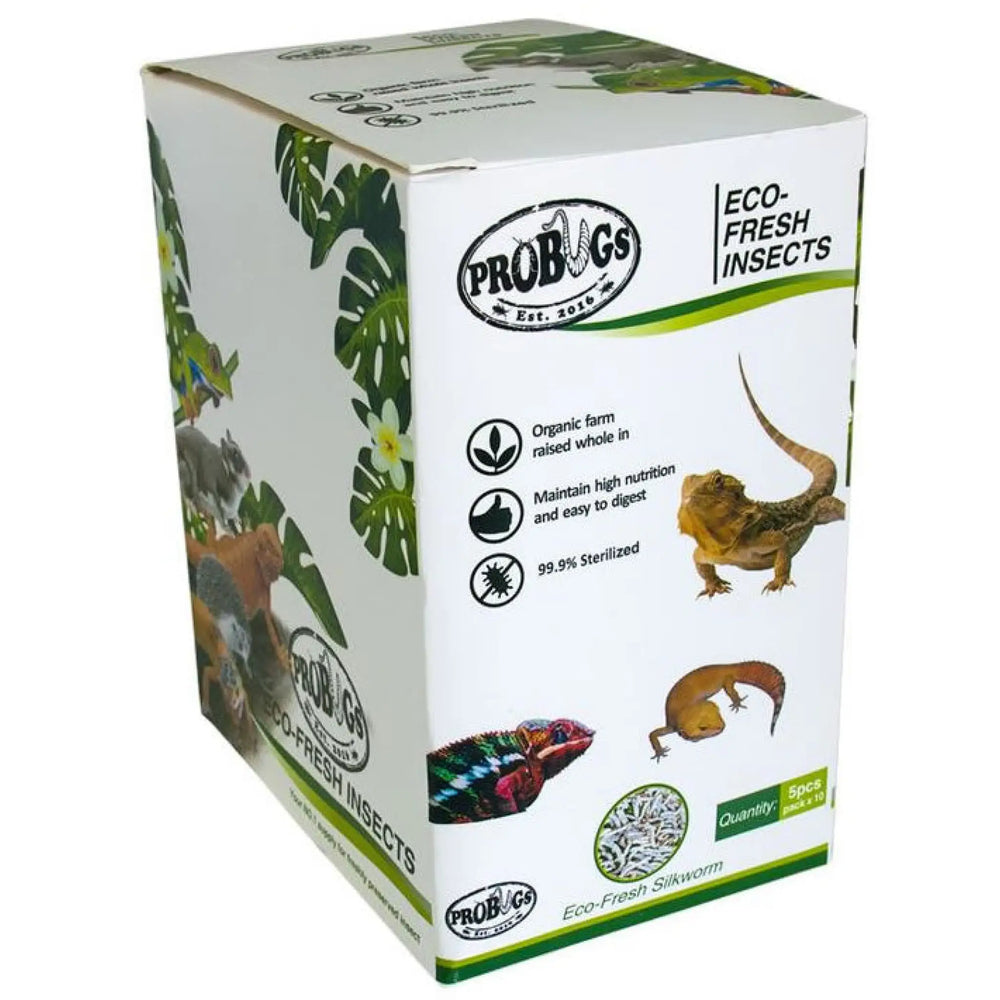 Buy ProBugs Eco Fresh Silkworm 5pcs (FBG025) Online at £23.69 from Reptile Centre