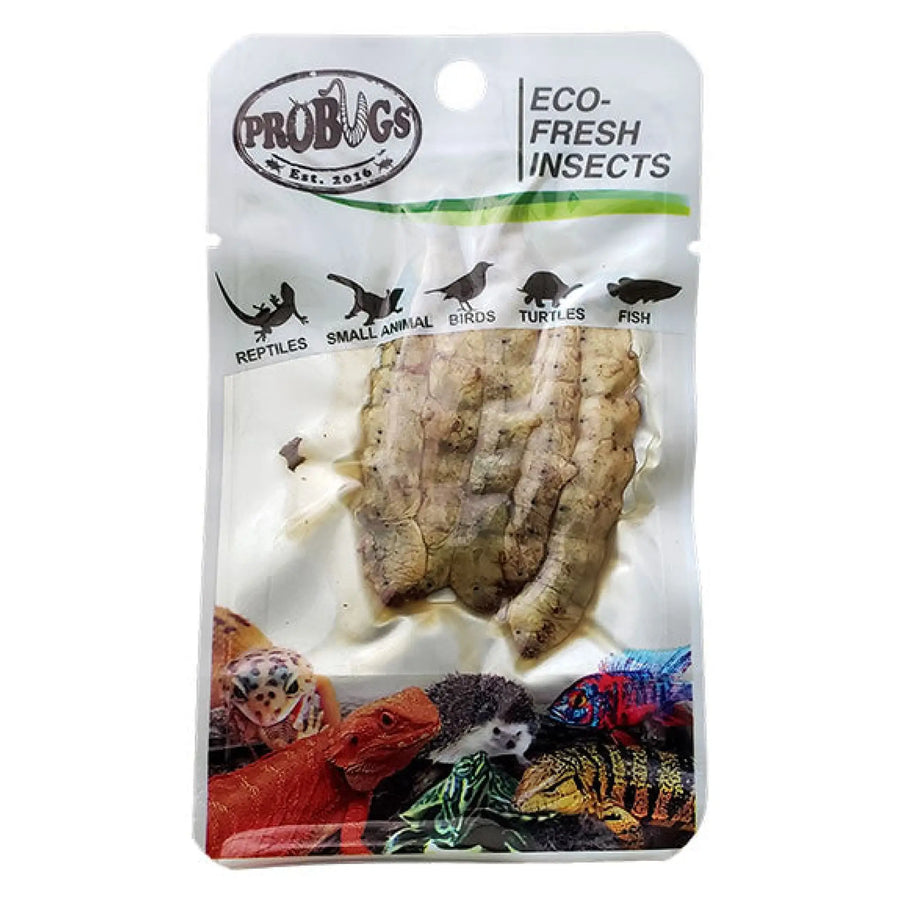 Buy ProBugs Eco Fresh Silkworm 5pcs (Q-FBG025) Online at £2.37 from Reptile Centre