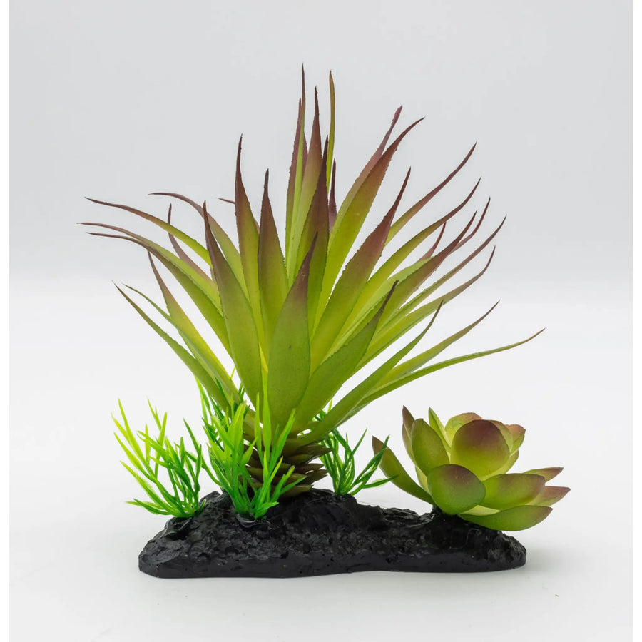 Buy ProRep Agave Plant on Log 15cm (PPP216) Online at £8.39 from Reptile Centre