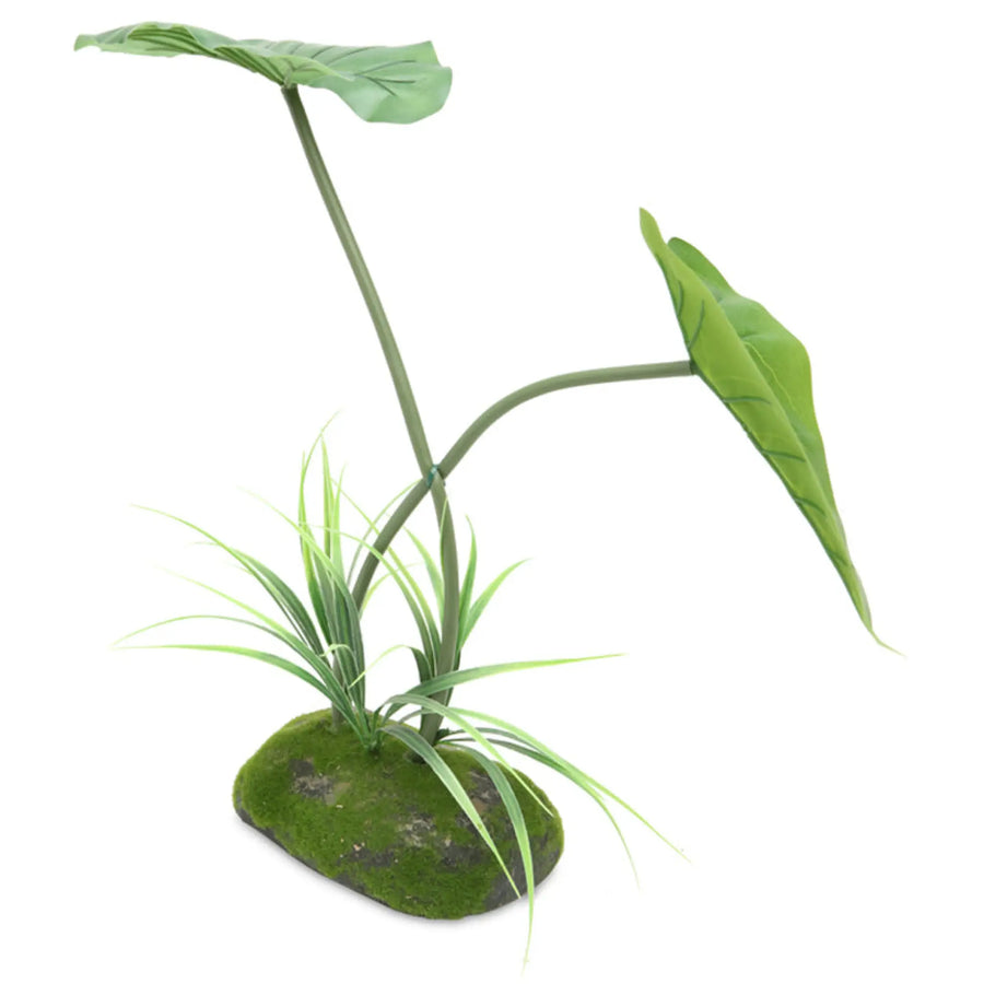 Buy ProRep Artificial Philodendron appendi. Plant 40cm (PPP013) Online at £11.99 from Reptile Centre