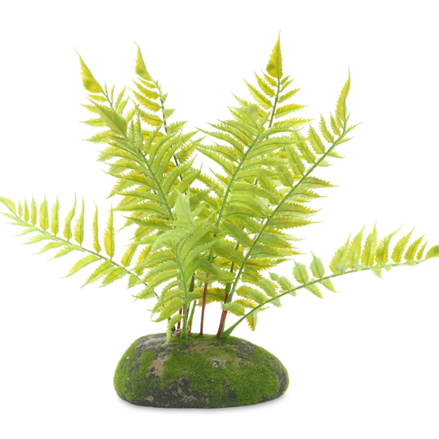 Buy ProRep Artificial Tropical Fern Plant 25cm (PPP100) Online at £15.49 from Reptile Centre