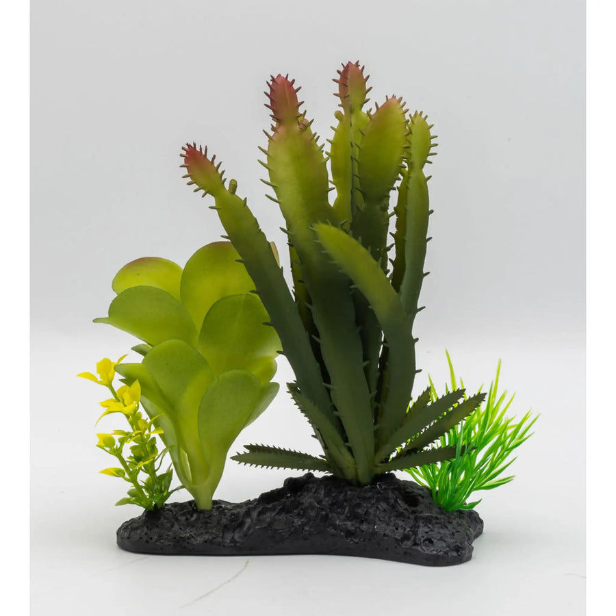 Buy ProRep Euphorbia Plant on Log 15cm (PPP215) Online at £9.99 from Reptile Centre
