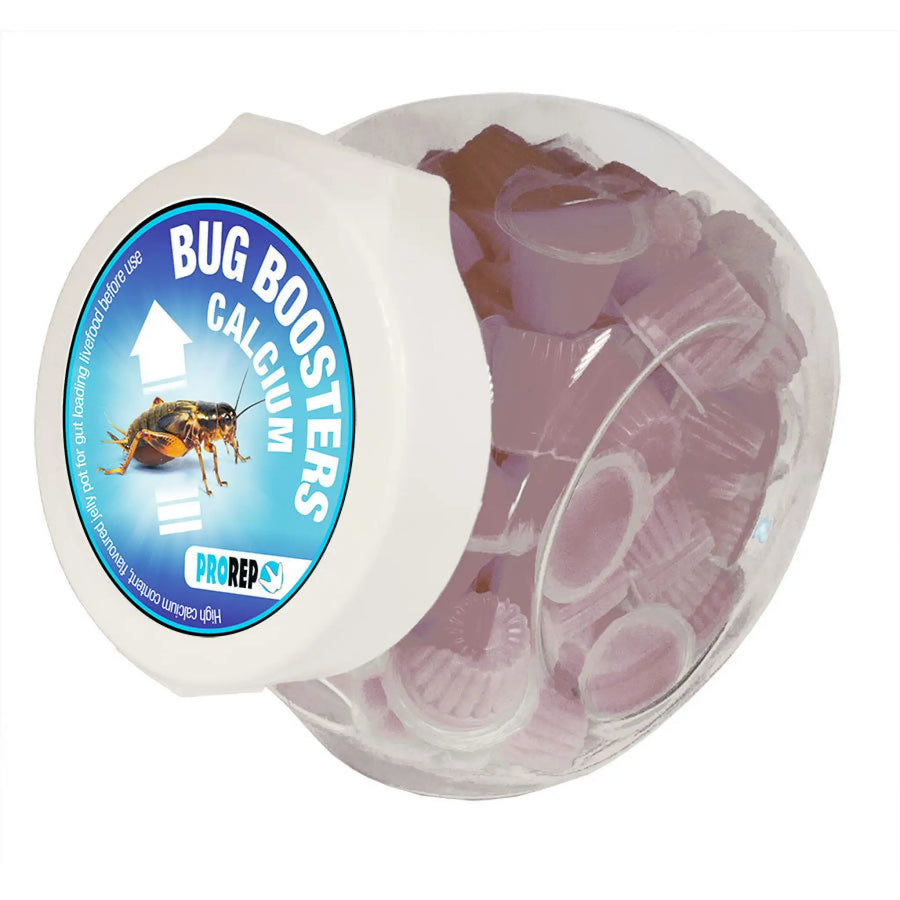 Buy ProRep Jelly Pots Bug Booster Calcium (FPJ130) Online at £35.99 from Reptile Centre