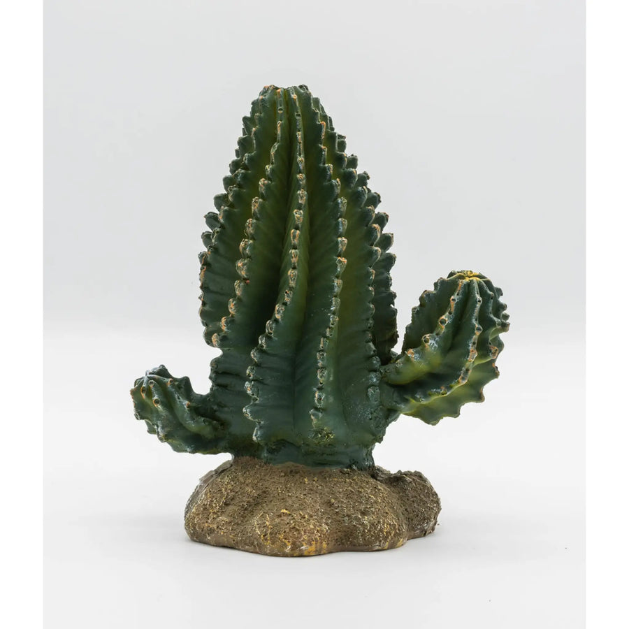 Buy ProRep Resin Cactus 13x7.5x15cm (PPP200) Online at £9.19 from Reptile Centre