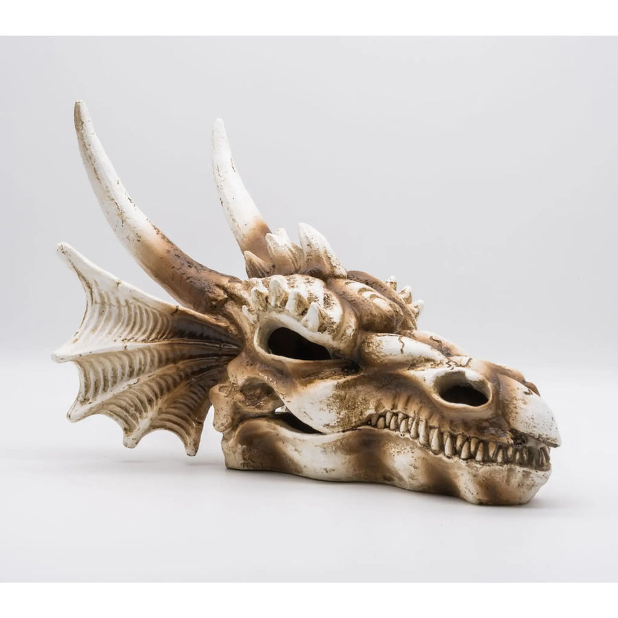 Buy ProRep Resin Dragon Skull 1 28.5x21.5x19.5cm (DPS075) Online at £23.99 from Reptile Centre