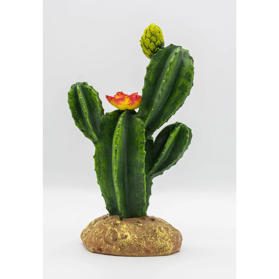 Buy ProRep Resin Flowering Cactus (PPP204) Online at £12.89 from Reptile Centre
