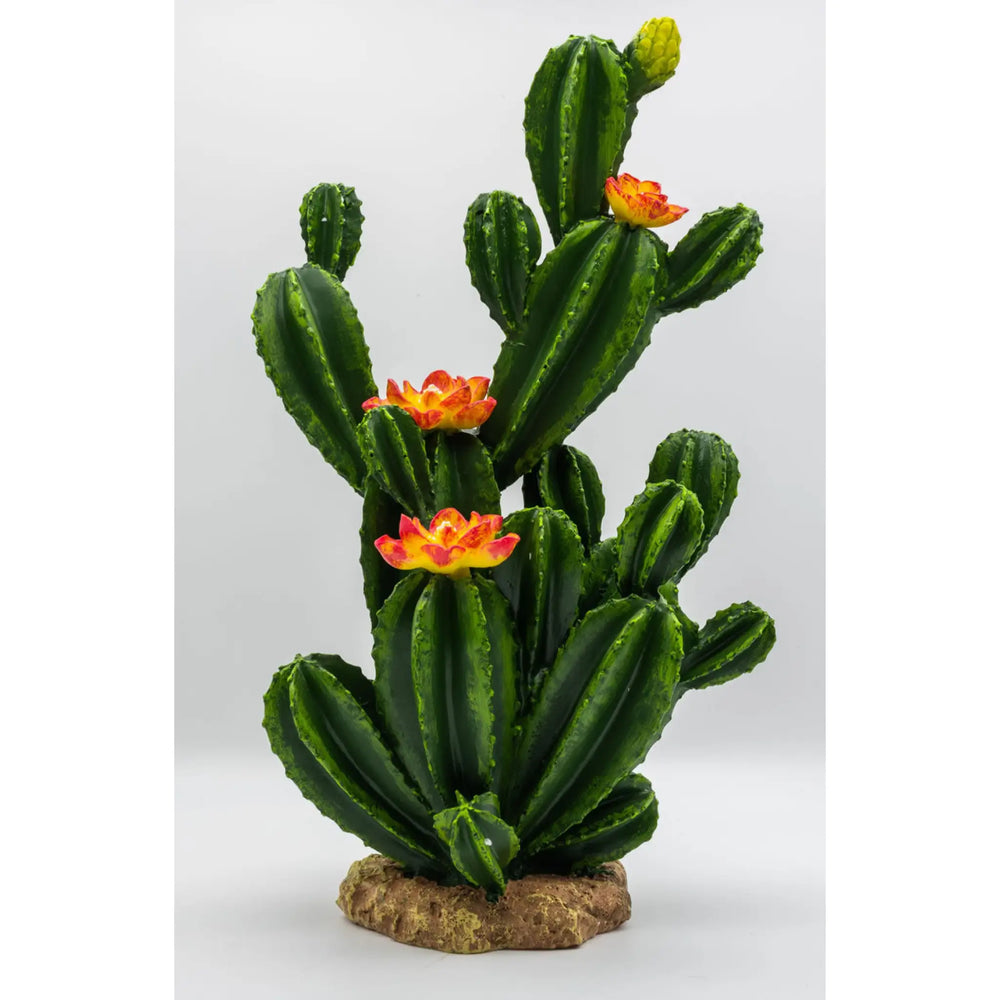 Buy ProRep Resin Flowering Cactus (PPP205) Online at £34.89 from Reptile Centre