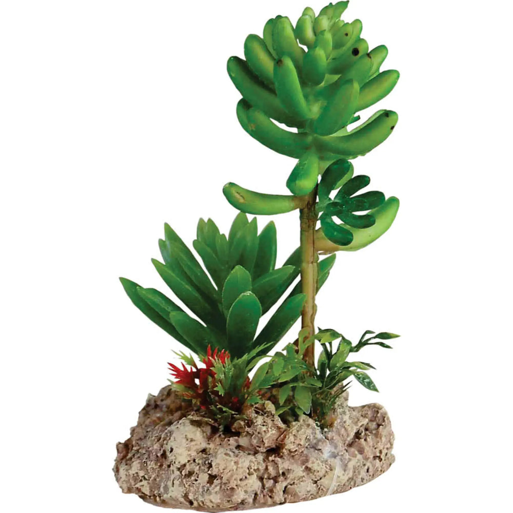 Buy RepStyle Desert Plant with Rock Base (DRS027) Online at £11.89 from Reptile Centre