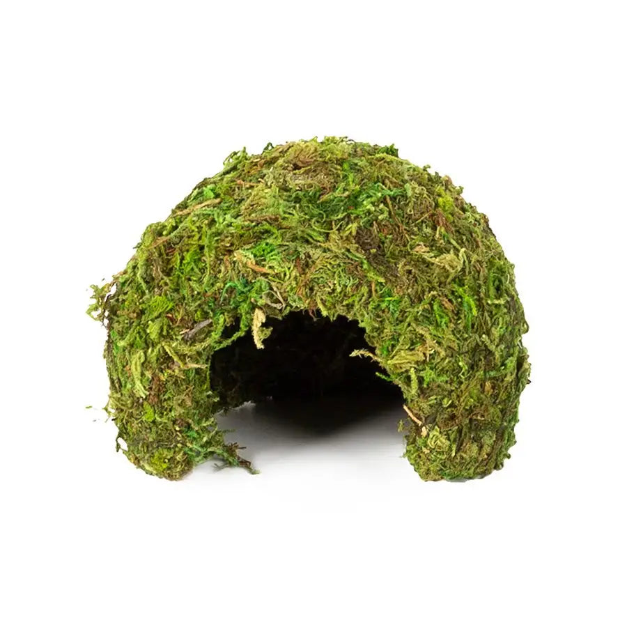 Reptizoo Natural Moss Dome Decor