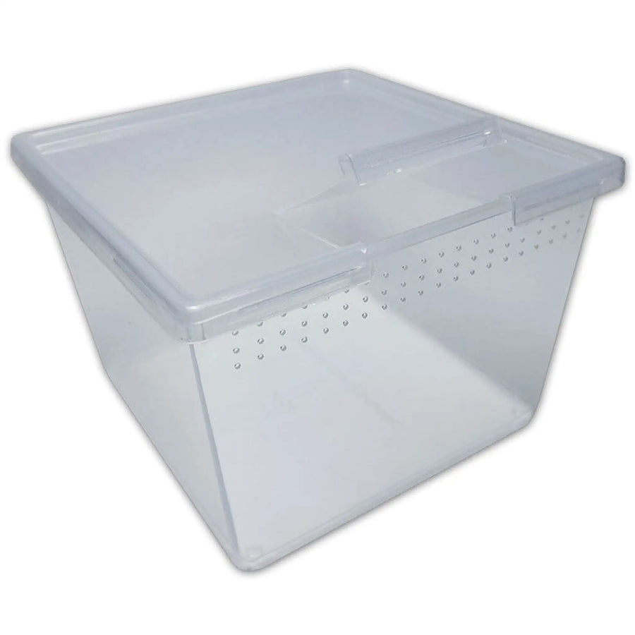 Buy Square Container Flip Lid 24oz (TMT110-025) Online at £43.09 from Reptile Centre