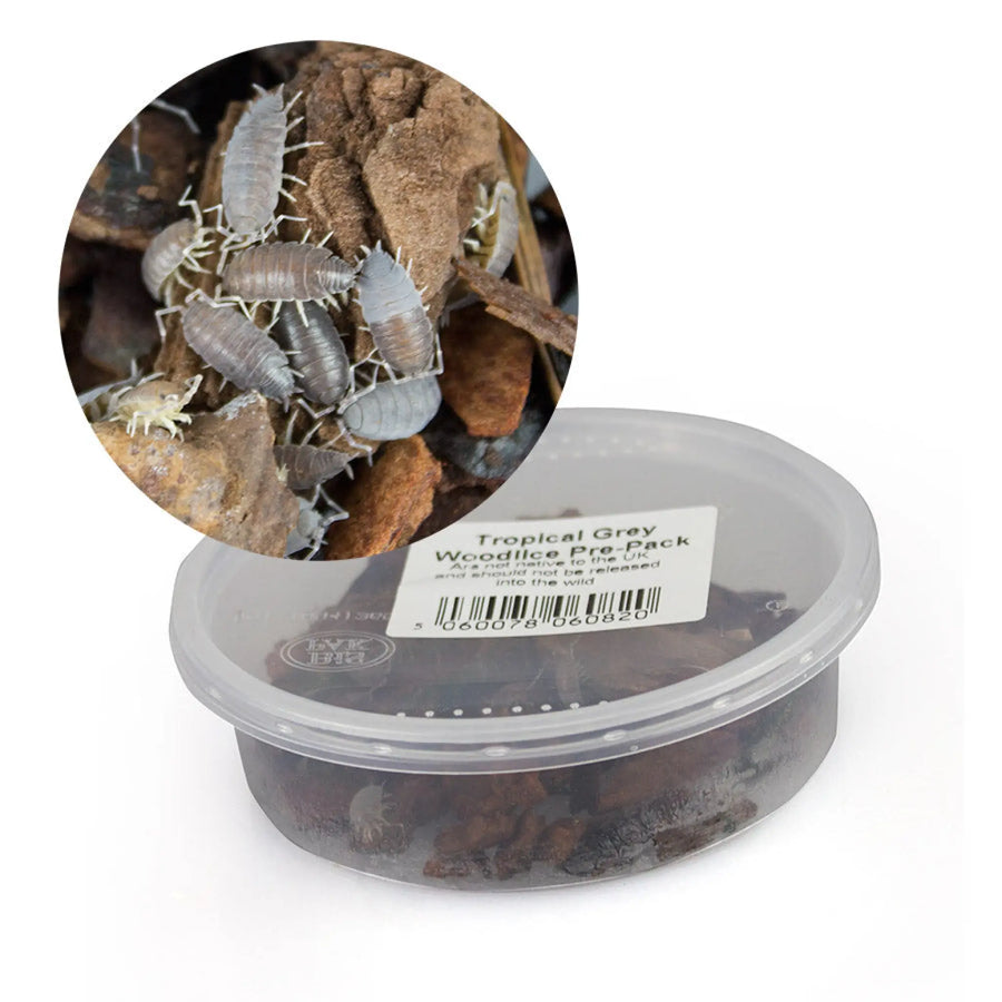 Buy Tropical Grey Woodlice Culture (A367) Online at £3.99 from Reptile Centre