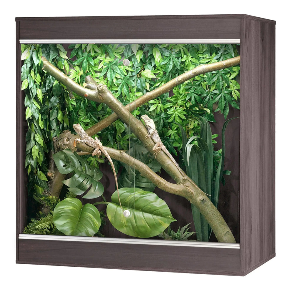Buy Vivexotic Repti-Home Arboreal Vivarium - Medium 86x49x91.5cm (TVV610) Online at £199.99 from Reptile Centre