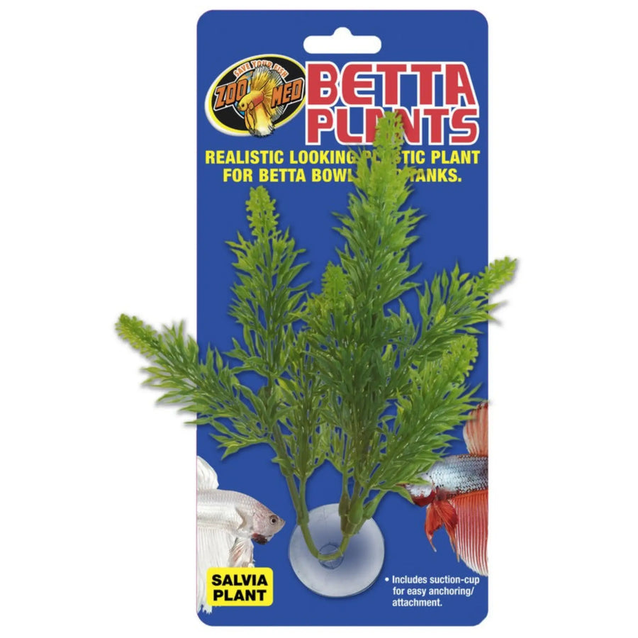 Buy Zoo Med Betta Plant Salvia (PZB320) Online at £1.75 from Reptile Centre