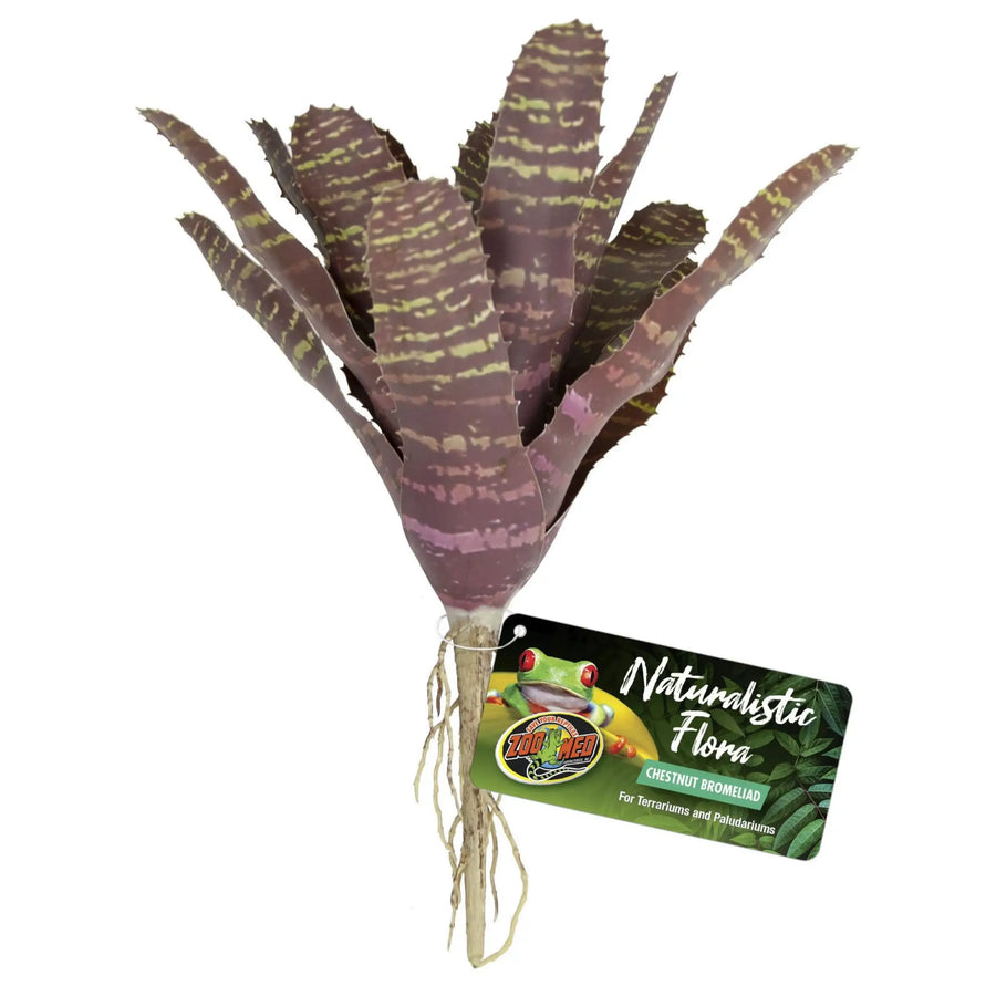 Buy Zoo Med Naturalistic Flora Chestnut Bromeliad (PZA002) Online at £10.39 from Reptile Centre