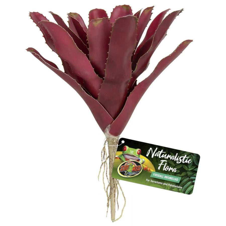 Buy Zoo Med Naturalistic Flora Fireball Bromeliad (PZA001) Online at £10.39 from Reptile Centre
