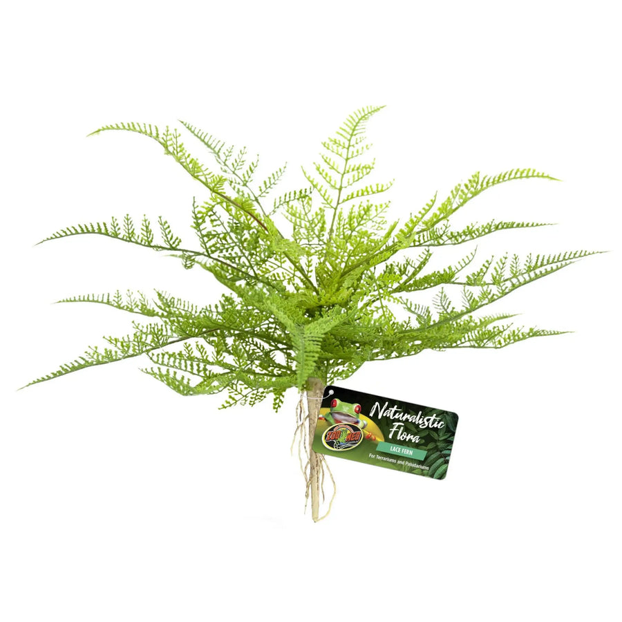 Buy Zoo Med Naturalistic Flora Lace Fern (PZA003) Online at £11.79 from Reptile Centre