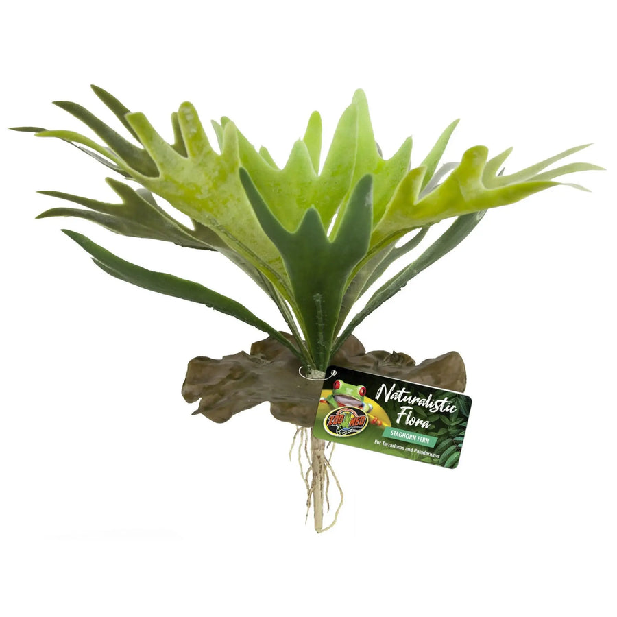 Buy Zoo Med Naturalistic Flora Staghorn Fern (PZA006) Online at £14.49 from Reptile Centre