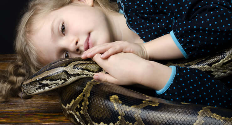Best Snakes for Beginners: Top 3 Species to Keep As Pets - Child cuddling a snake for a pet.
