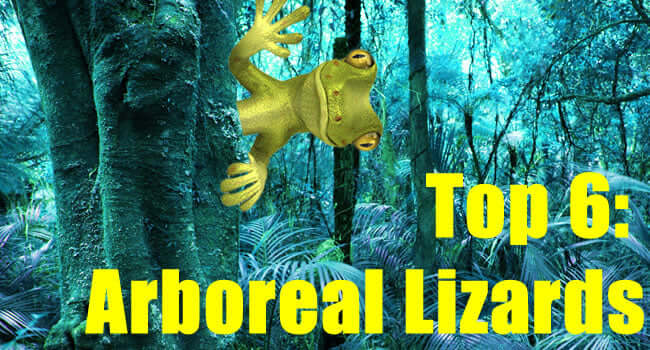 Top 6 Arboreal Lizards amidst a vibrant forest scene featuring a green lizard.