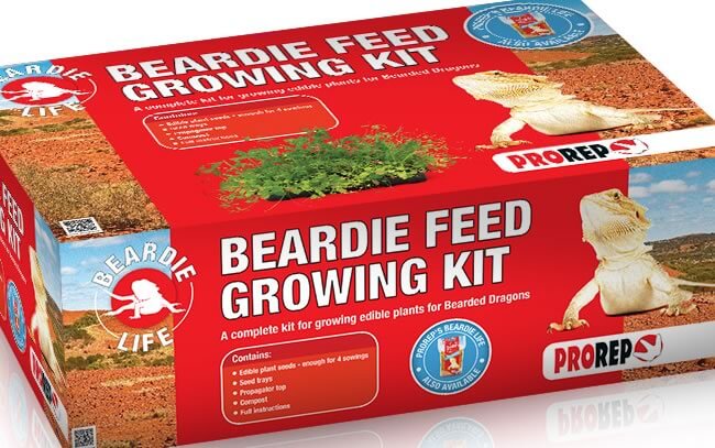 Beardie Feed Growing Kit for growing edible plants for Bearded Dragons to eat. Grow Your Own Bearded Dragon Food At Home!