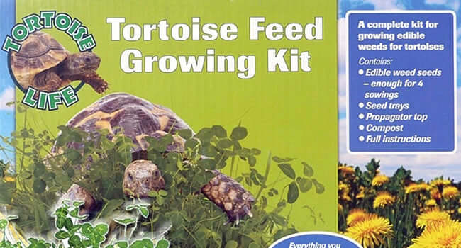 Tortoise Life Tortoise Feed Growing Kit for home-grown tortoise food, including seeds and instructions.