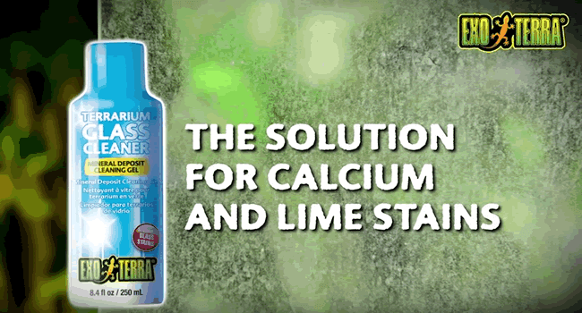 The Safe, Easy Way to Clean Terrarium Glass using Exo Terra Terrarium Glass Cleaner.