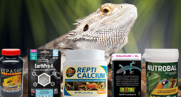 Bearded Dragon Supplements: What Your Pet Really Needs - various calcium supplements for bearded dragons with a dragon in the background.