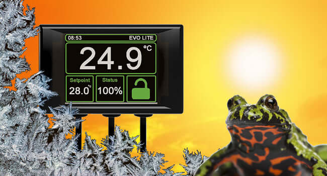 Heat Lamp Thermostat Guide: Which Thermostat Should You Buy? Showing temperature monitor with frog.
