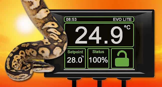 Know Your Reptile Thermostats with a digital display showing temperature settings and a snake in the foreground.