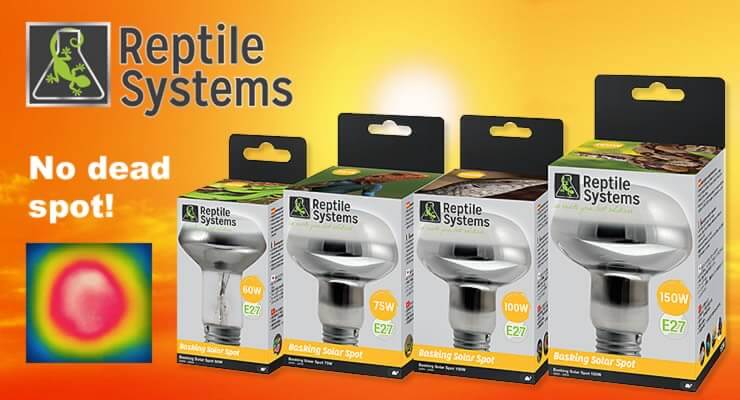 Is This the Best Reptile Basking Spot Bulb in the World? Reptile Systems basking bulbs for reptiles.