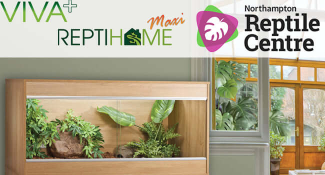 What’s the difference between the Vivexotic Viva+ and Reptihome? vivarium displayed at Northampton Reptile Centre.
