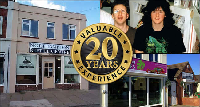 20 Years of Northampton Reptile Centre in Photos showcasing the store and owners over two decades.