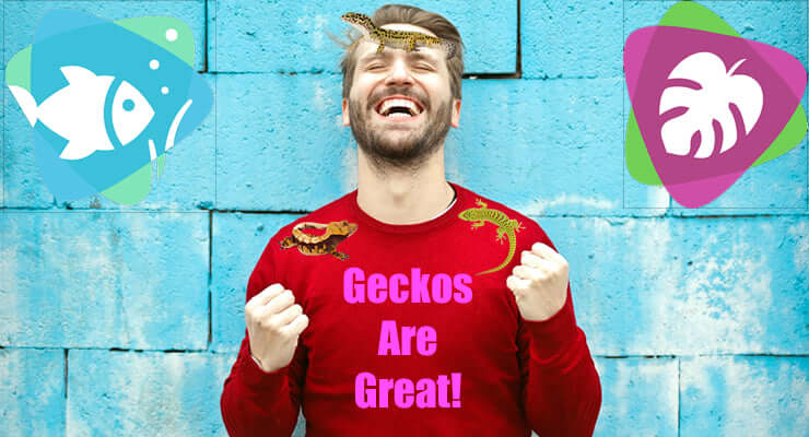 Person smiling with geckos on shirt, saying 'Geckos Are Great!', representing enthusiasm for Best Geckos for Pets (7 Top Picks).