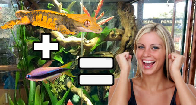 Paludarium Setup 101: How-To Guide (Plants, Fish and Reptiles) with a gecko, fish, and a happy woman in front of a tank.