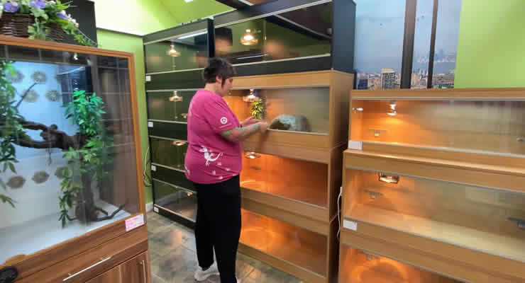 Reptile Holiday Boarding at Northampton Reptile Centre - staff member caring for reptiles in holiday enclosures.
