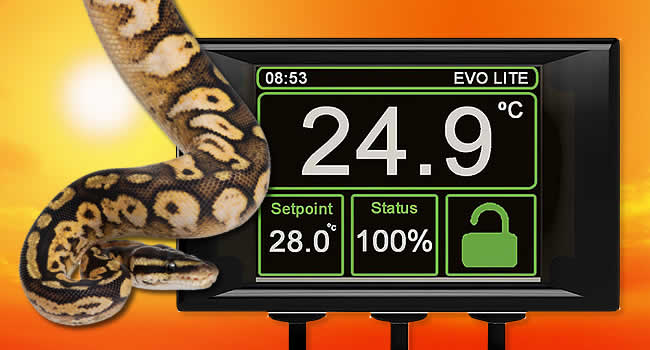 Know Your Reptile Thermostats