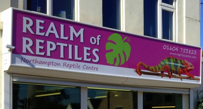 How to turn your Reptile Hobby into a Business