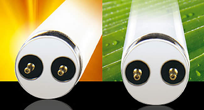 The Difference Between T8 & T5 Reptile UVB Tubes comparison with T8 on left and T5 on right.