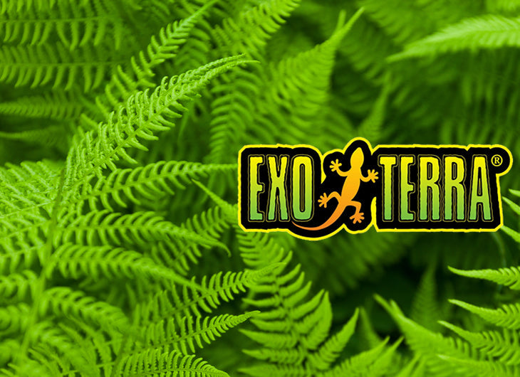 Exo Terra
