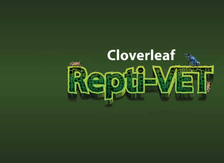 Cloverleaf