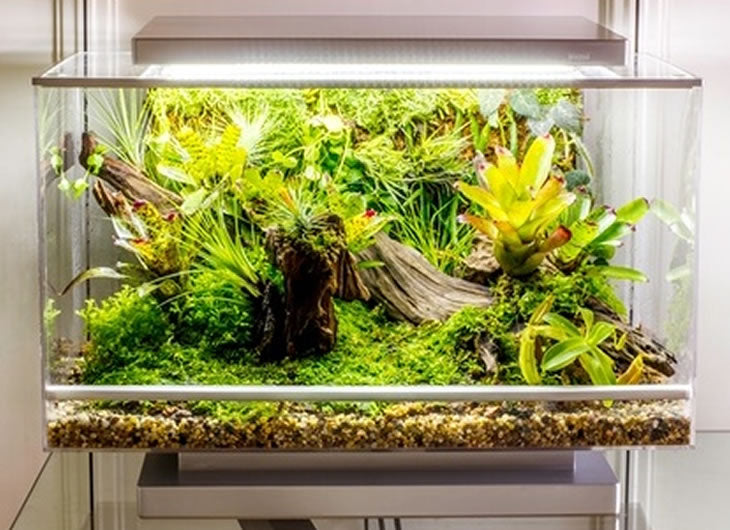 Terrariums