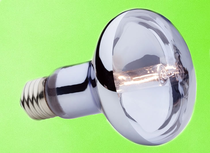 Basking Spot Bulbs