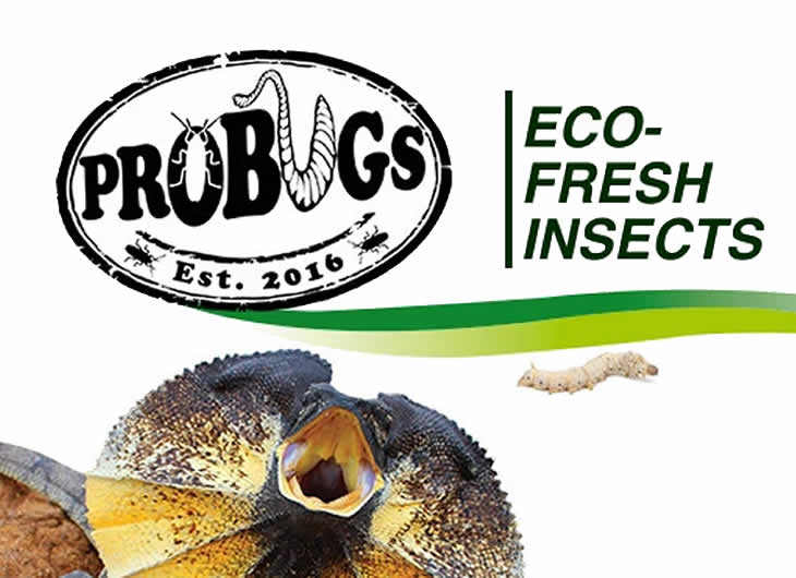 ProBugs
