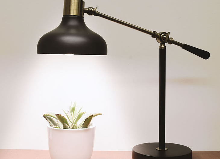 Bulb Reflectors