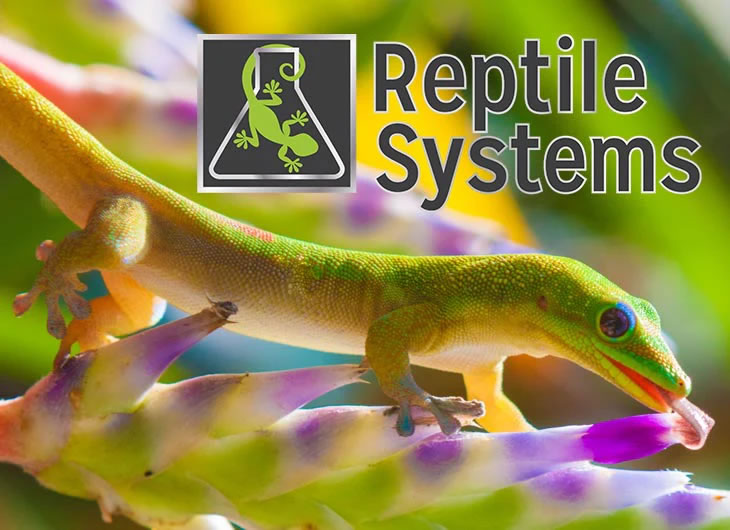 Reptile Systems New Dawn LEDs