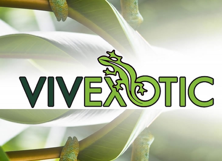 VivExotic Vivariums, Terraniums and Enclosures