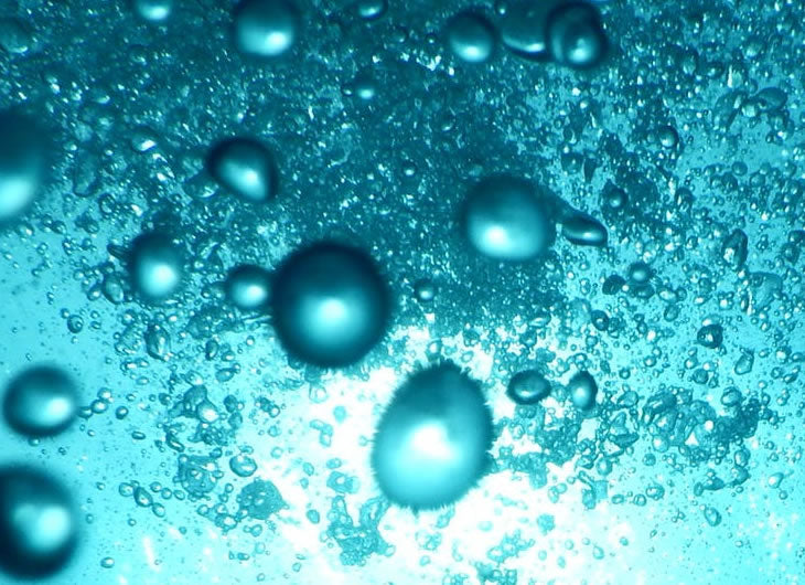 Water Tests