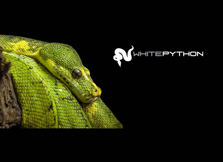 White Python
